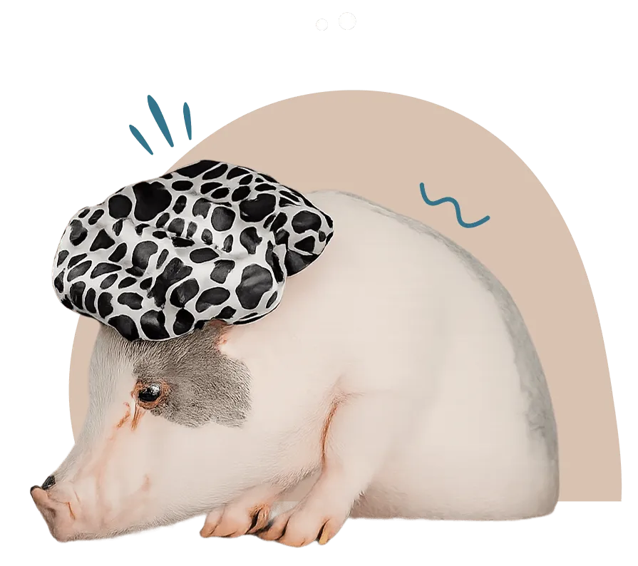 Mascota con gorro de ducha Mellow