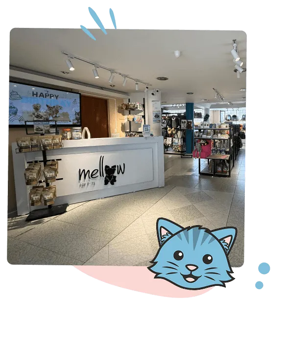 Experiencia Mellow For Pets